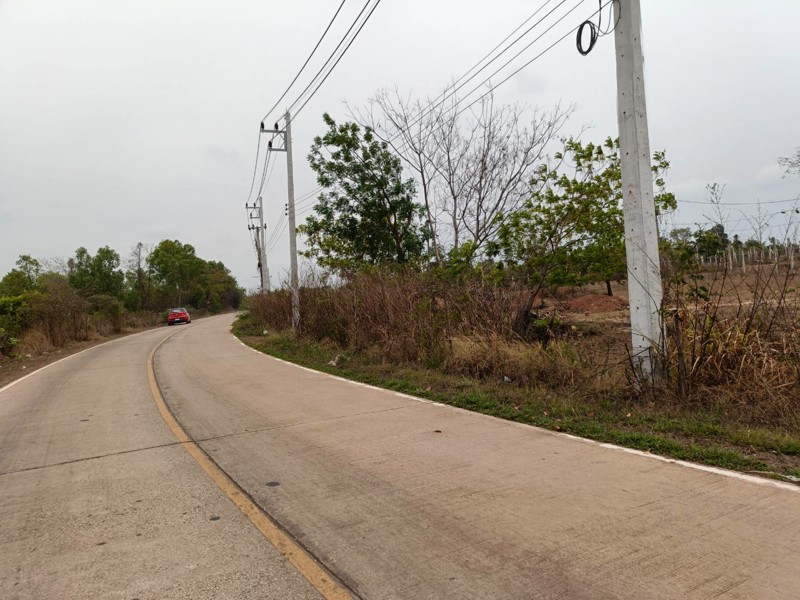 ขายที่ดิน-13ไร่-2งาน-40ตรว-แบ่งขาย-