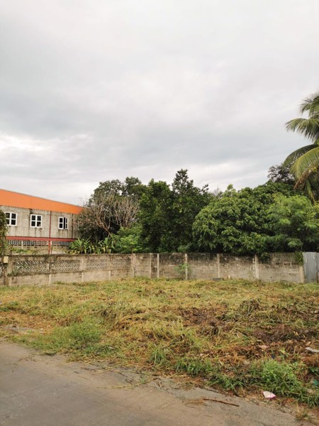 ที่ดินตัวเมืองปากช่อง-ใกล้ทางเข้ากองวัคซีน-สวนสาธารณะ-