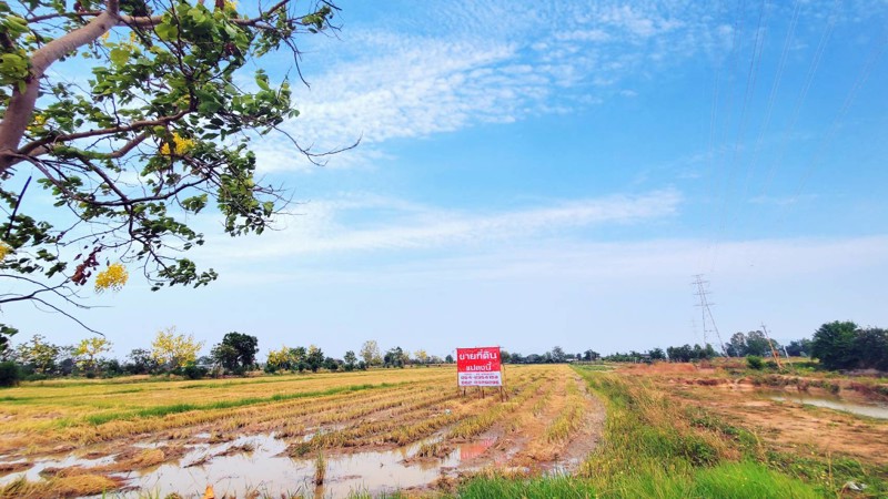 ขายที่ดินทำเลทอง-พื้นที่ดิน-อบ้านธิ-จังหวัดลำพูน