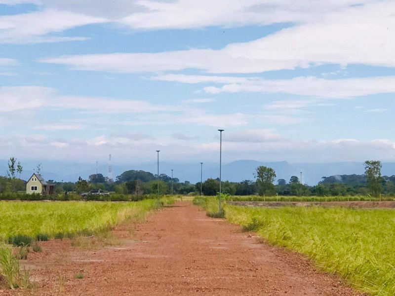 โปรโมชั่นสุดพิเศษที่ดินสวยแบ่งขาย-อปากพลี-จนครนายก