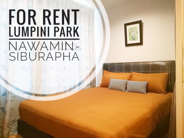 ให้เช่า-ลุมพินีพาร์ค-นวมินทร์-ศรีบูรพา-ตึก-d-ห้องมุม-23-ตรม-แต่งสวยชวนฝัน