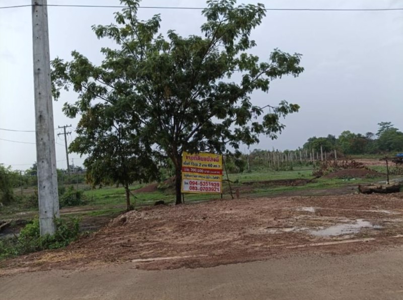 ขายที่ดิน12ไร่-แบ่งขาย-ในเมืองหนองคาย