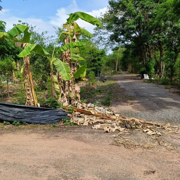 ขายที่ดินติดรั้ว-รพศูนย์มะเร็งอุดร-138ตรว