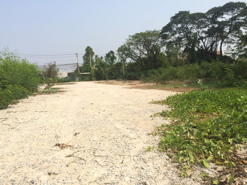 ขายที่ดิน-ซอยเฉลิมพระเกียรติ-ร9-ซอย-67-เนื้อที่-533-ตารางวา