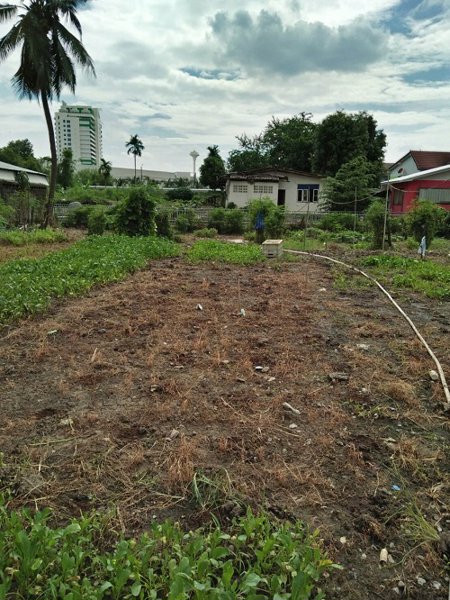 ขายที่ดิน-295-ตรว-ซอยนวมินทร์-88-กทม