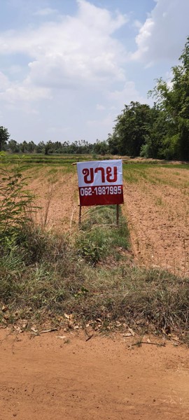 ขายที่ดิน-ที่นา-ติดคลอง-เนื้อที่-9-3-46-ไร่