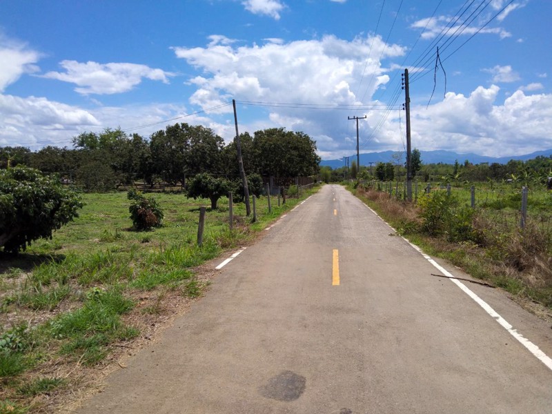 ขายที่ดิน-ตำบลดอยหล่อ-จังหวัดเชียงใหม่-สำหรับบ้านพักตากอากาศ-และทำสวน