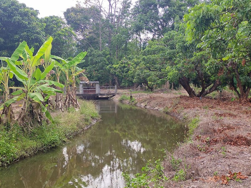 ขายที่ดิน-ใกล้น้ำตกแม่กลางวัดพระธาตุจอมทอง-จเชียงใหม่