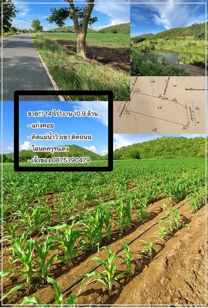 ขาย-ที่ดิน-ทำเลสวย-ติดแม่น้ำป่าสัก-ภูเขาล้อมรอบ-ติดถนน-เข้าออกได้หลายทาง