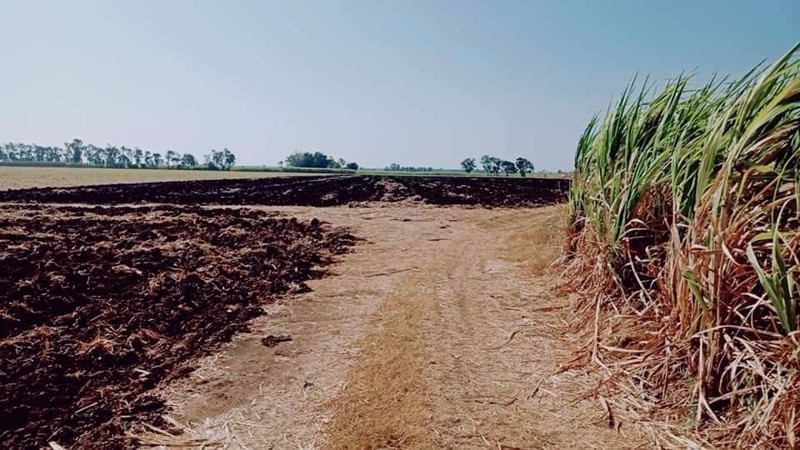 ขายที่ดิน-55ไร่-อำเภอโคกเจริญ-จังหวัดลพบุรี