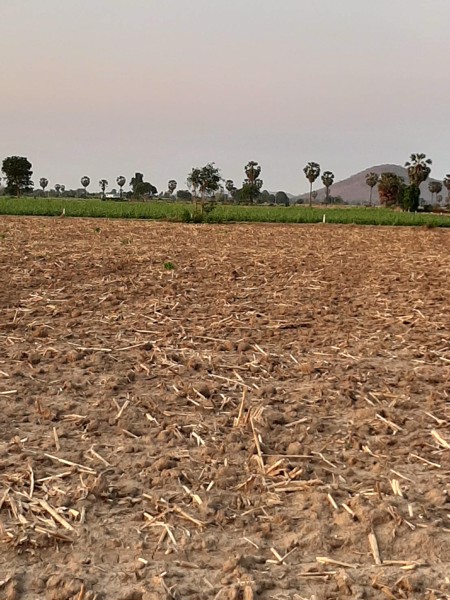 ขายที่ดินเนื้อที่-10-ไร่-3-งาน-42-ตารางวา