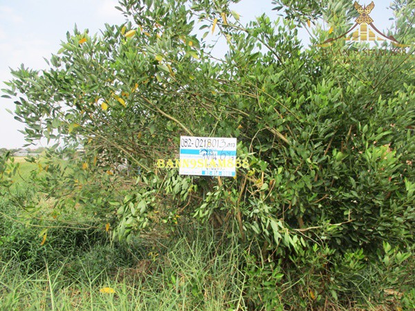 ที่ดิน-ซอยสุวินทวงศ์42