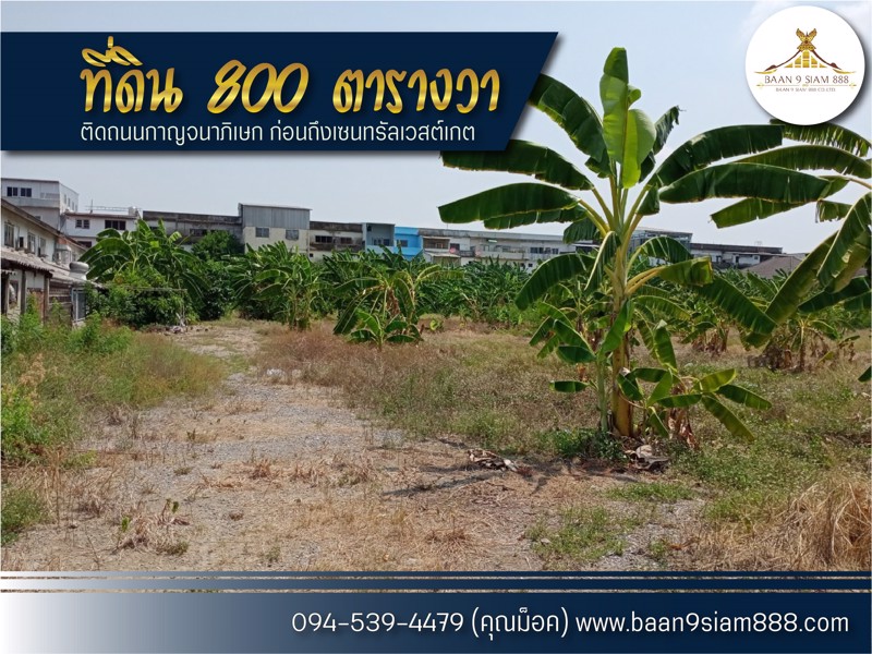 ที่ดิน-800-ตรว-ติดถนนกาญนาภิเษก-ใกล้สถานีรถไฟฟ้าสีม่วง