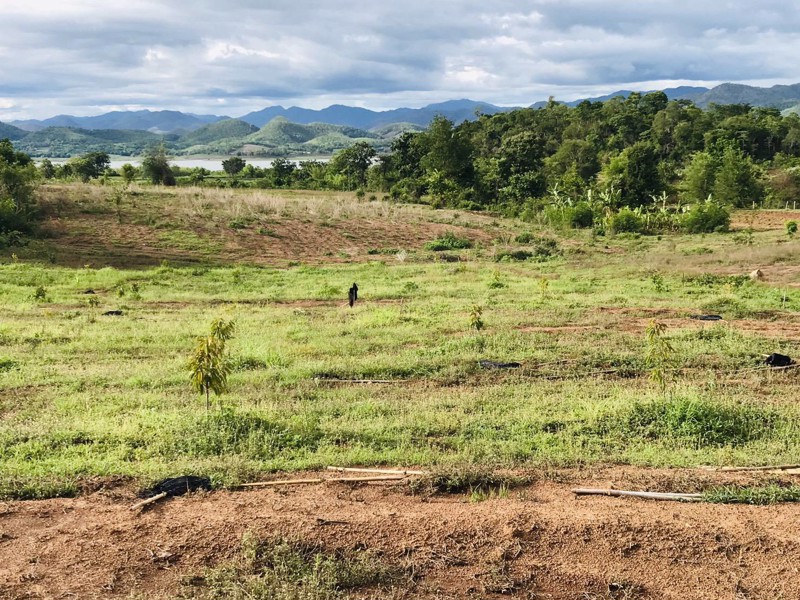 ขายด่วน-ที่ดินติดชายเขา-40ไร่-น้ำไฟพร้อม-มีบ่อบาดาล-มีต้นทุเรียน-ท่อน้ำให้พร้อม