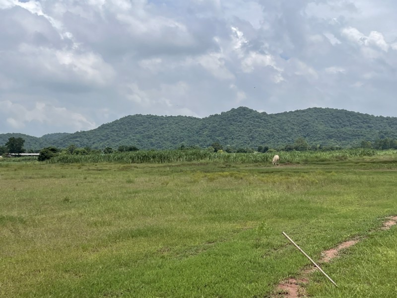 ขายที่ดิน-ขนาด22ไร่-3งาน-29-ตรว