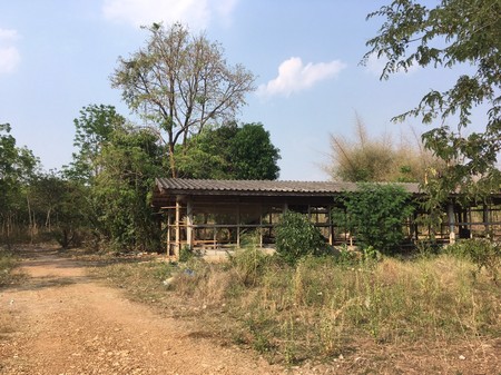 ขายที่ดินแปลง-64-ใร่-แบ่งขายหรือซื้อยกแปลง-ตช้างตะลูด-อหล่มสัก-จเพชรบูรณ์