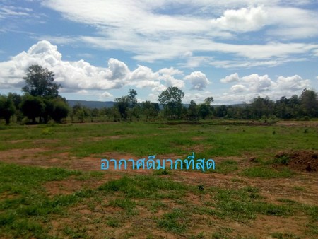 ขายที่ดิน-จหนองบัวลำภู-ที่ดินเนื้อที่-11-ไร่-3-งาน-ที่สวยทำเลดี