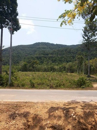 ด่วนขายยกแปลงที่ดินบนเกาะช้าง-จตราด-ทำเลทอง-20ไร่1งาน-40-ตารางวา