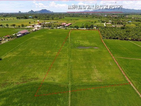 ขายที่ดินเปล่า-จังหวัดเพชรบุรี-เนื้อที่-9-ไร่-2-งาน-5087-ตารางวา-เจ้าของขายเอง