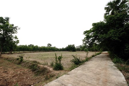 ขายที่ดิน-8ไร่-3งาน-84-ตรว-แบ่งเป็น-2แปลง-แปลงละ4ไร่1งาน-888-ตรว