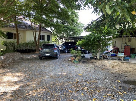 ขายบ้านสองหลังพร้อมที่ดิน-จพระนครศรีอยุธยา-เนื้อที่รวม-1-ไร่-13-ตารางวา