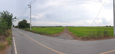 ขายด่วนที่ดินติดถนนคอนกรีตสาธารณะ39-ไร่-3-งาน-28-ตรวา-จอยุธยา