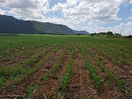 ขายที่ดินเปล่า-จสระบุรี-ที่สวยทำเลดี