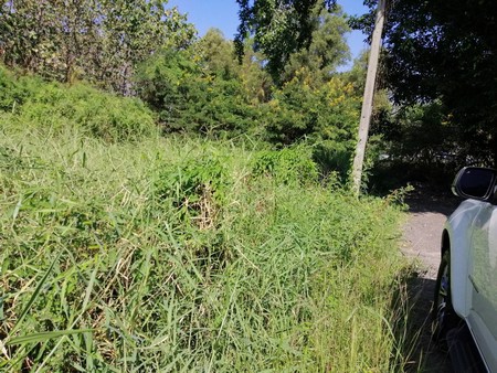 ขายที่ดินเปล่าทำเลดี-เนื้อที่-134-ตรว-อยู่พหลโยธิน-64