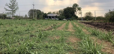 ขายด่วนที่ดินเปล่าทำเลดี-อพัฒนานิคม-จลพบุรี-โทร-0922488216