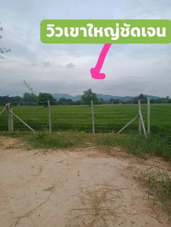 ขายที่ดิน-จังหวัดนครนายก-ที่สวยมองเห็นวิวภูเขา