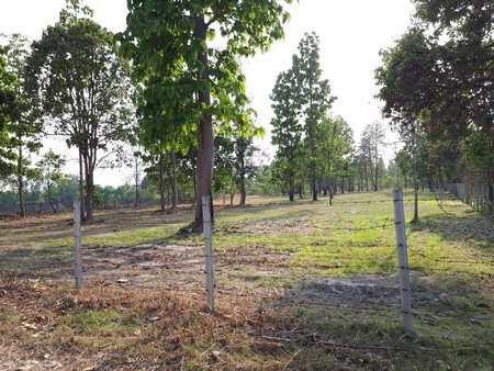 ขายที่ดินสวยติดอ่างน้ำขนาดใหญ่-3-ไร่-53-ตารางวา-น้ำแพร่-หางดง-เชียงใหม่