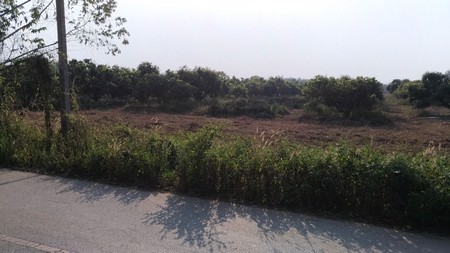 ขายที่ดินเปล่า-จังหวัดเชียงใหม่-ที่สวยมองเห็นวิวภูเขา