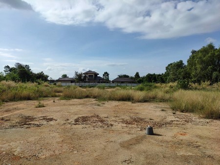 ขายที่ดินเปล่าติดริมแม่น้ำบางปะกง-วิวสวยมองไปเห็นวัดหลวงพ่อโสธร