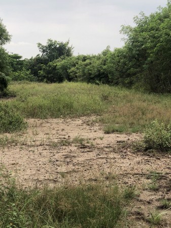 ขายที่ดินเปล่า-68-ตารางวา-พร้อมสร้างบ้าน-ตำบลศรีมหาโพธิ์-อำเภอนครชัยศรี-นครปฐม