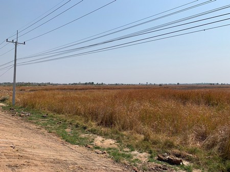 ขายที่ดินเปล่าติดถนนมิตรภาพโคราช-ที่สวยทำเลดี