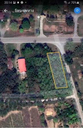 ขายด่วนที่ดินเปล่าทำเลสวยติดถนน-3งาน-24-ตรวา-อ-ภูกระดึง-จเลย