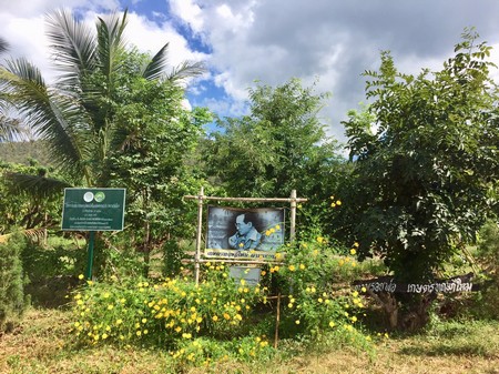 ขายด่วนสวนลำใยมีโฉนด-14-ไร่-3-งาน-74-ตรวาอพร้าว-จเชียงใหม่