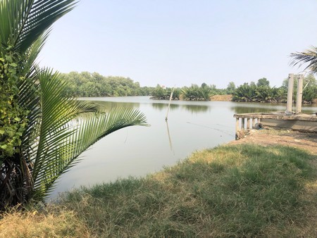 ขายที่ดิน-ตำบลในคลองบางปลากด-11-ไร่-เจ้าของขาย-ราคาถูก