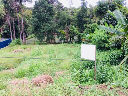 ขายด่วนที่ดิน-2-โฉนด-6-ไร่-36-ตรวา-อเขาค้อ-จ-เพชรบูรณ์