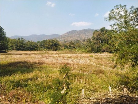 ด่วนที่สุด-ขายที่ดินเนื้อที่เกื่อบไร่-จังหวัดเชียงใหม่-ราคานี้วิวดี-เห็นวิวภูเขา