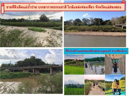 ขายที่ดินใกล้แหล่งท่องเที่ยวสะพานซูตองเป้-ติดแม่น้ำปาย-บรรยากาศธรรมชาติ