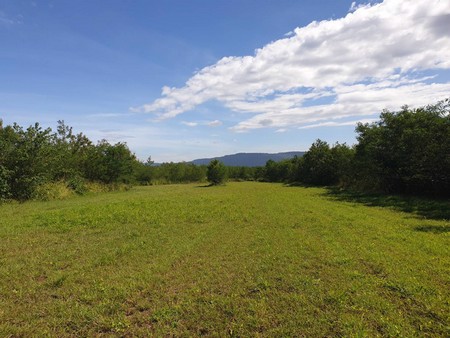 ขายที่ดินโฉนดสวย-วิว-180-องศา-15-ไร่-3-งาน-77-ตารางวา-อยู่ติดโครงการ-myozone