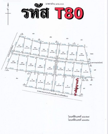 ขายด่วน-ที่ดินแปลงใหม่-ทำเลดีทำเลทอง-อยู่ระหว่างชะอำและหัวหิน-ใก้ล-กทม-เดินทางสะดวก