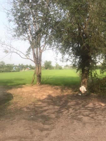 ขายที่ดินเปล่า-บ้านบึงท่าแก-อำเภอเมือง-จังหวัดขอนแก่น-เนื้อที่-2-ไร่