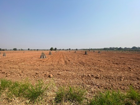 ขายด่วน-ที่ดินเปล่า-16-ไร่-แบ่งขายไร่ละ-650000-บาท-ทำเลน่าลงทุน-จนครราชสีมา