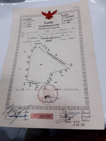ขายที่ดินเปล่า-ติดถนนหมายเลข-2069-จังหวัดชัยภูมิ-เนื้อที่-64-ไร่-1-งาน-72-ตารางวา