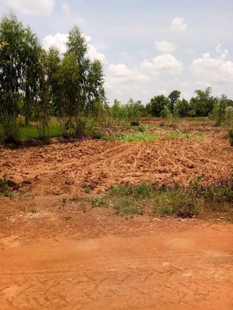 ขายด่วน-ที่ดินเปล่า-2-ไร่-3-งาน-15-ตารางวา-น้ำไฟ-ครบ-จสกลนคร