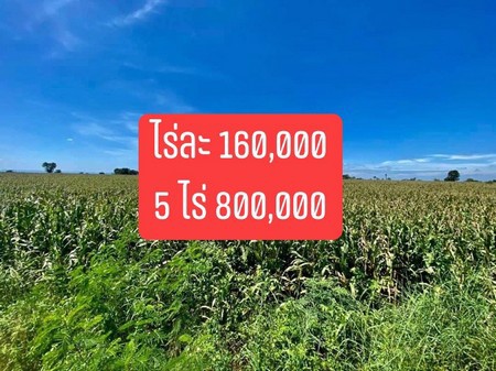 ที่ดินเปล่า-จังหวัดนครราชสีมา-อากาศดี-วิวสวย-ราคาถูก