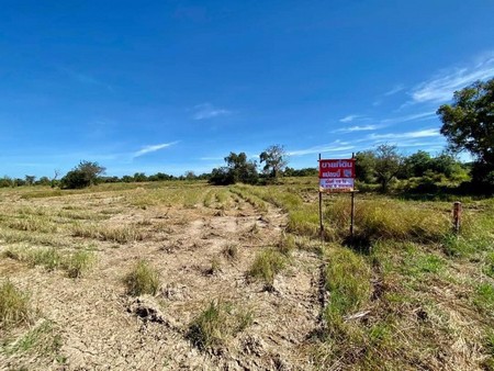 ขายที่ดินเปล่า-19-ไร่-1-งาน-9-ตารางวา-บ้านสำโรง-จังหวัดนครราชสีมา