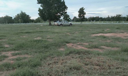 ขายที่ดินติดถนนลาดยางล้อมรั้วแล้วเรียบร้อยโฉนด-3-ใบ